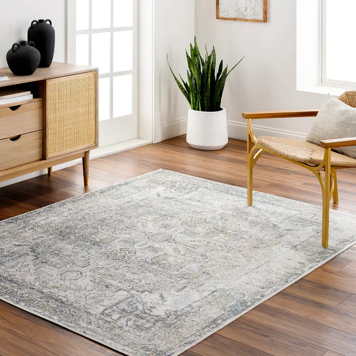 VIVIAN RIDGE Machine Washable Traditionnal Boho Taupe Rug