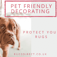 Pet-Friendly Decorating