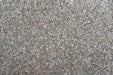 Mastercraft coral 24001 3292 Grey Living Room Shaggy Rug.