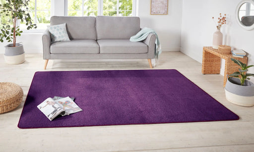 Hanse Home nasty purple Purple Living Room  Rug.