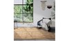 Kollektion 1906 106175 Beige