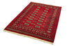  bokhara red    Rug.