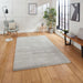 Think Rugs deluxe silver Grey Living Room Shaggy Rug.