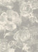 Asiatic echo asiatic ec 07 Grey   Rug.