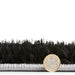 Think Rugs olympia 2239 black white Black, Ivory Living Room Shaggy Rug.