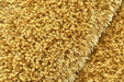 Asiatic diva yellow Yellow Living Room Shaggy Rug.