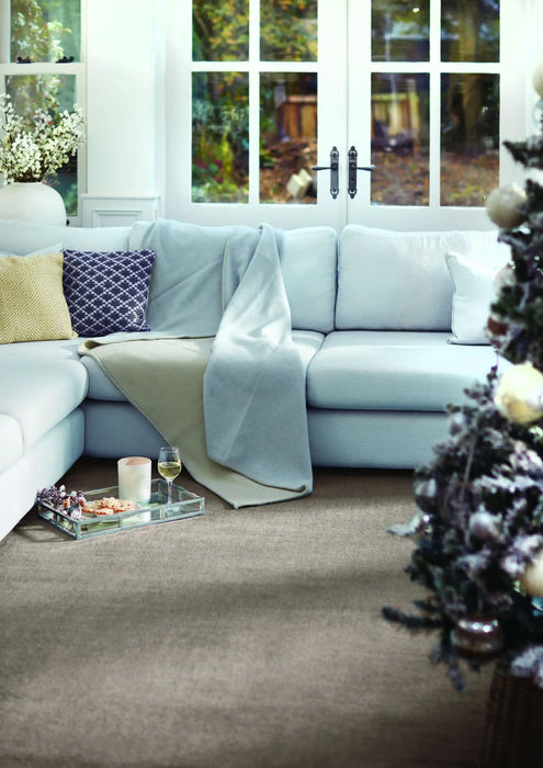 Origins reef origins mink Brown Living Room  Rug.