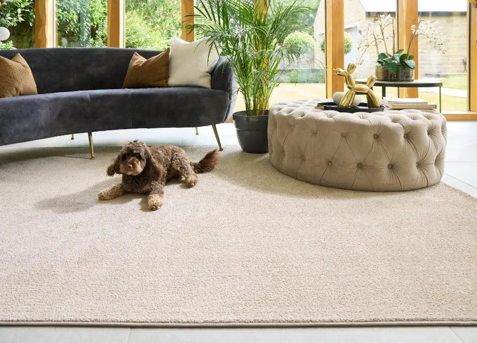 Sense Hug Rug Beige Washable