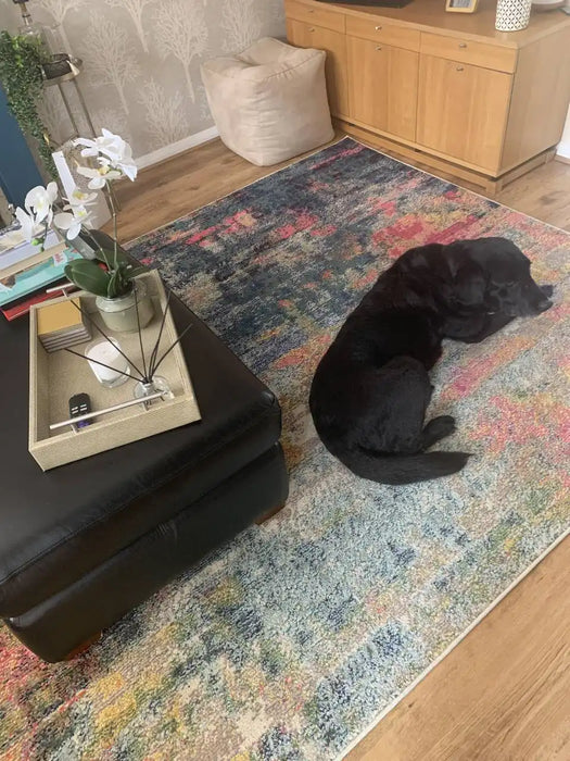 Photo by Amanda W., | Nourison celestial ces09 blue yellow Living Room  Rug.