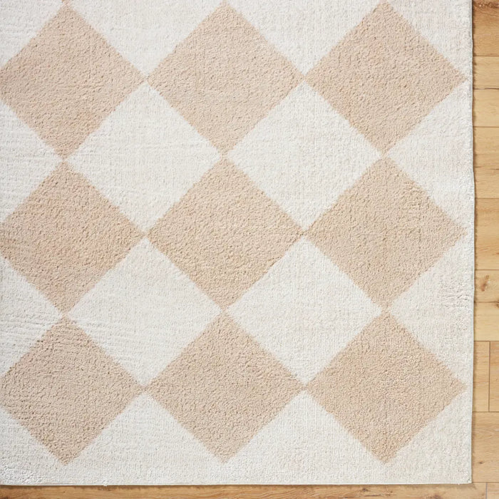 DELINE Machine Washable Modern Shaggy Beige Rug
