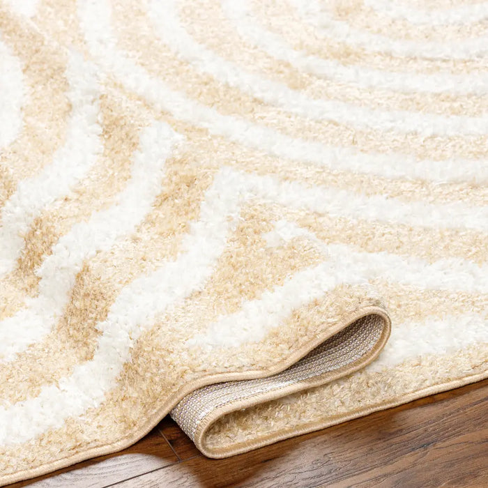 MARAVA Shaggy Modern Plush Pile Light Orange Rug