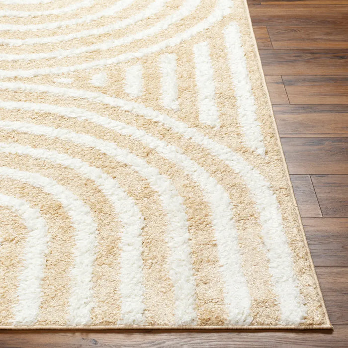 MARAVA Shaggy Modern Plush Pile Light Orange Rug