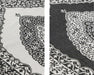Elle Decoration gemini 106024 black Black, Ivory Outdoor  Geometric Rug.