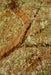 Louis de Poortere cities 9320 london green meadows Brown, Green Living Room  Rug.