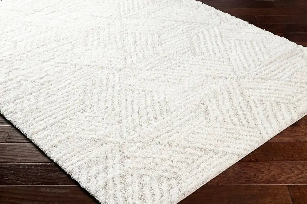Surya marina calista 2319 beige Beige Living Room Shaggy Rug.
