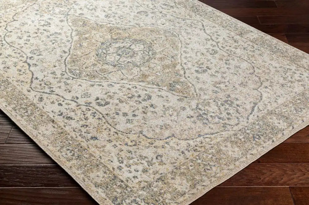 Surya lll celine 2322 beige Beige Living Room Geometric Rug.