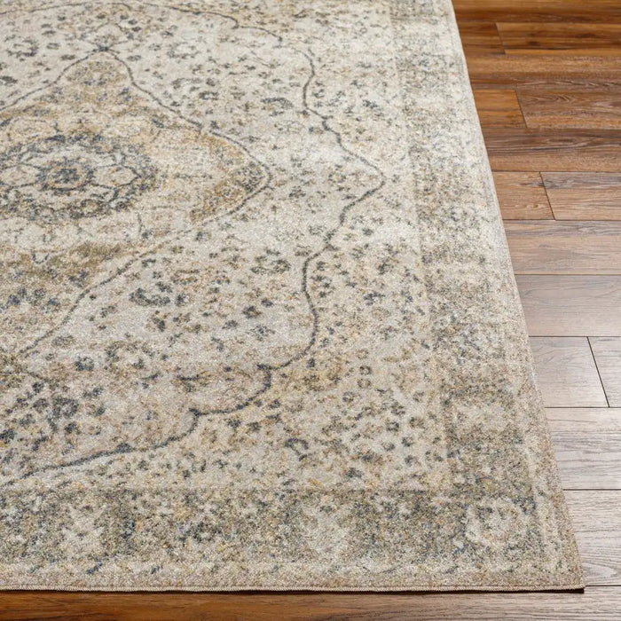 Surya lll celine 2322 beige Beige Living Room Geometric Rug.