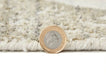 Nourison dune du 147 ivory mink Ivory Living Room  Rug.