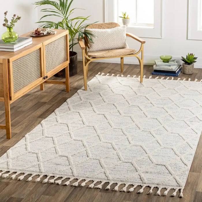 Surya noa norah 2311 grey Grey Living Room  Rug.