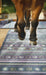 Hug Rug hug rug pet pet 85 Blue, Multicoloured Kitchen  Doormat Rug.