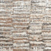 Nourison sustainable trends sut06 ivory mocha Brown, Beige, Ivory Living Room  Rug.