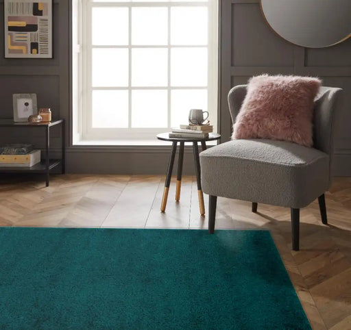 Esselle sophia shaggy teal Green, Teal Living Room Shaggy Rug.