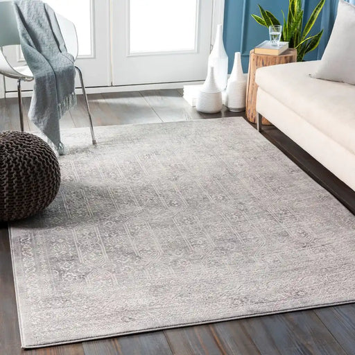 Surya rom vicky 2307 grey Grey Living Room  Rug.