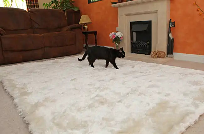 Asiatic whisper ivory Ivory Living Room Shaggy Rug.